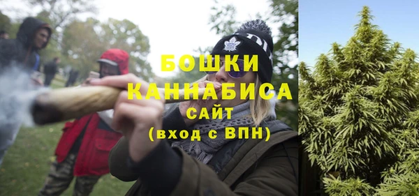 ПСИЛОЦИБИНОВЫЕ ГРИБЫ Арсеньев