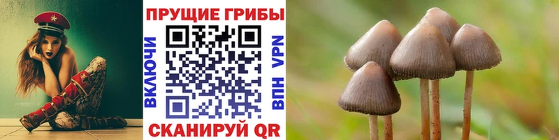 Галлюциногенные грибы мухоморы  закладка  Гудермес 